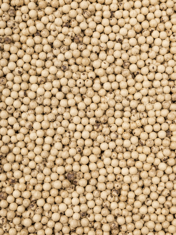 WHITE PEPPER